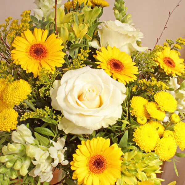 Lemon Sizzles - Image 2