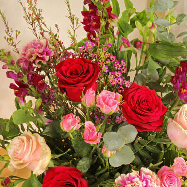 Raspberry Reds - Image 3