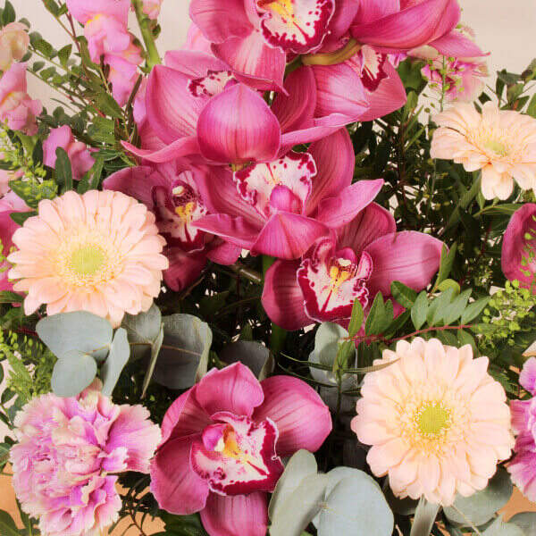 Orchid Loves - Image 3