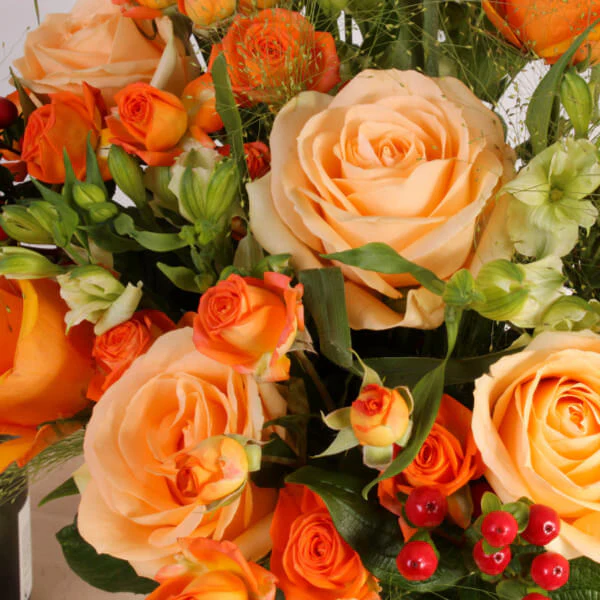 Peach Tango - Image 2