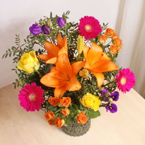 Vibrant Ventura - Image 2